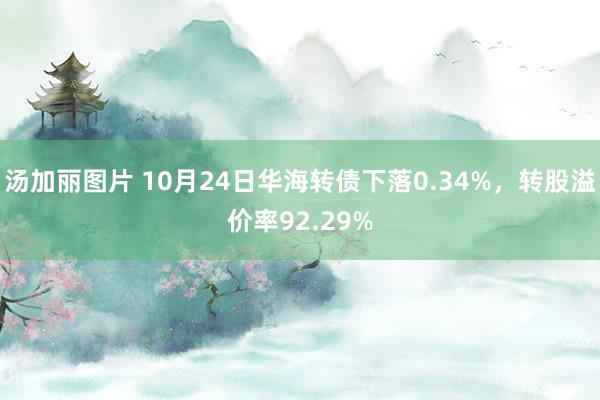 汤加丽图片 10月24日华海转债下落0.34%，转股溢价率92.29%