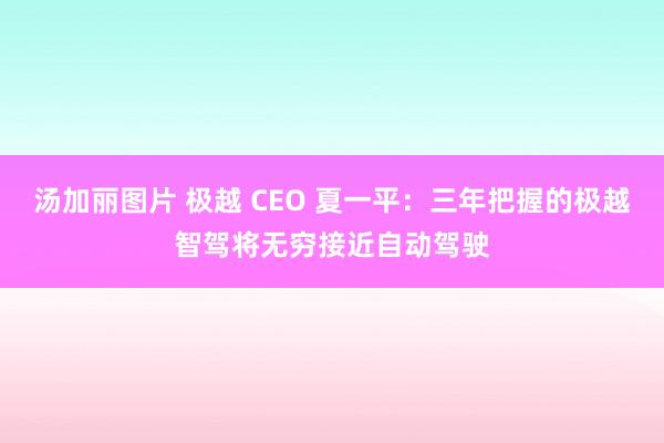 汤加丽图片 极越 CEO 夏一平：三年把握的极越智驾将无穷接近自动驾驶