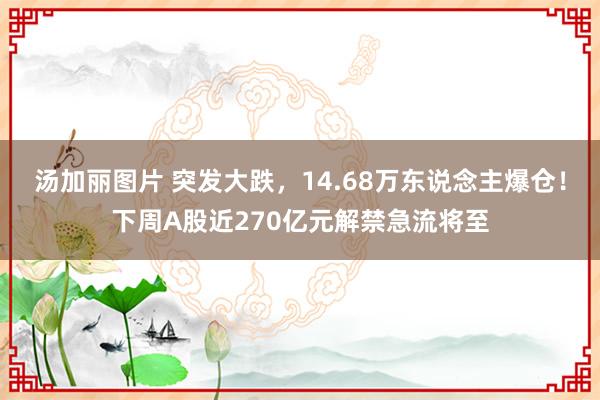 汤加丽图片 突发大跌，14.68万东说念主爆仓！下周A股近270亿元解禁急流将至