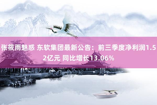 张筱雨魅惑 东软集团最新公告：前三季度净利润1.52亿元 同比增长13.06%