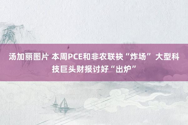 汤加丽图片 本周PCE和非农联袂“炸场” 大型科技巨头财报讨好“出炉”