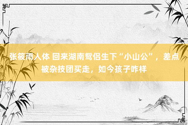 张筱雨人体 回来湖南鸳侣生下“小山公”，差点被杂技团买走，如今孩子咋样