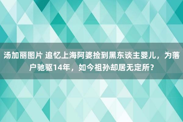 汤加丽图片 追忆上海阿婆捡到黑东谈主婴儿，为落户驰驱14年，如今祖孙却居无定所？