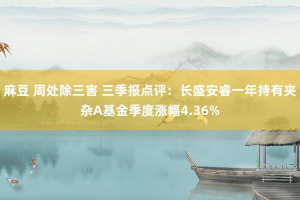 麻豆 周处除三害 三季报点评：长盛安睿一年持有夹杂A基金季度涨幅4.36%