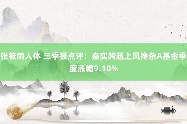 张筱雨人体 三季报点评：嘉实跨越上风搀杂A基金季度涨幅9.10%