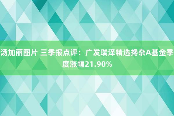 汤加丽图片 三季报点评：广发瑞泽精选搀杂A基金季度涨幅21.90%