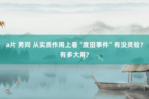 a片 男同 从实质作用上看“度田事件”有没灵验？有多大用？