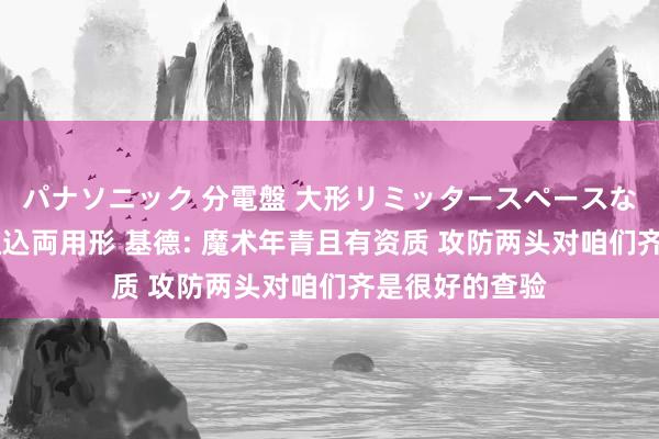 パナソニック 分電盤 大形リミッタースペースなし 露出・半埋込両用形 基德: 魔术年青且有资质 攻防两头对咱们齐是很好的查验