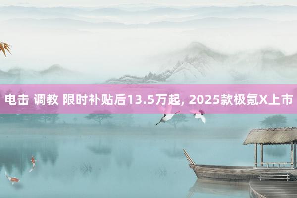 电击 调教 限时补贴后13.5万起， 2025款极氪X上市