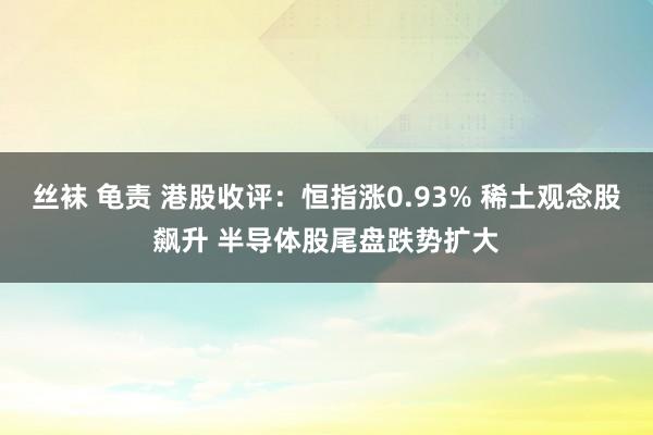 丝袜 龟责 港股收评：恒指涨0.93% 稀土观念股飙升 半导体股尾盘跌势扩大