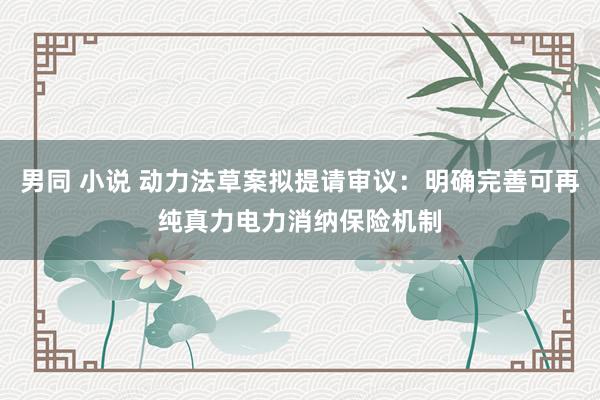 男同 小说 动力法草案拟提请审议：明确完善可再纯真力电力消纳保险机制