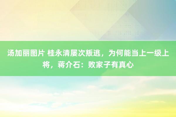 汤加丽图片 桂永清屡次叛逃，为何能当上一级上将，蒋介石：败家子有真心