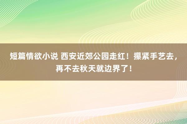 短篇情欲小说 西安近郊公园走红！攥紧手艺去，再不去秋天就边界了！