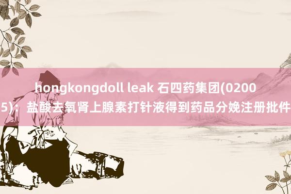 hongkongdoll leak 石四药集团(02005)：盐酸去氧肾上腺素打针液得到药品分娩注册批件