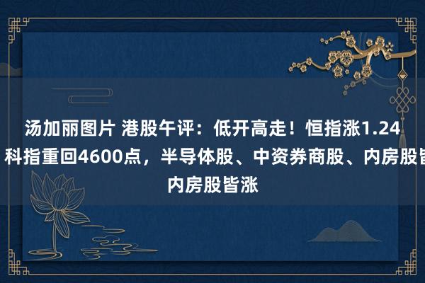 汤加丽图片 港股午评：低开高走！恒指涨1.24%，科指重回4600点，半导体股、中资券商股、内房股皆涨