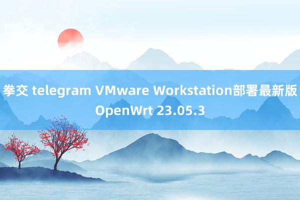 拳交 telegram VMware Workstation部署最新版OpenWrt 23.05.3