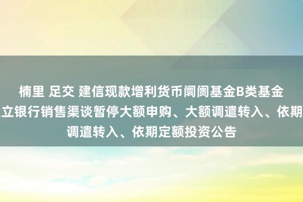 楠里 足交 建信现款增利货币阛阓基金B类基金份额在中国设立银行销售渠谈暂停大额申购、大额调遣转入、依期定额投资公告