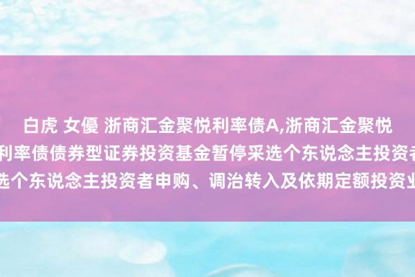 白虎 女優 浙商汇金聚悦利率债A，浙商汇金聚悦利率债C: 浙商汇金聚悦利率债债券型证券投资基金暂停采选个东说念主投资者申购、调治转入及依期定额投资业务的公告