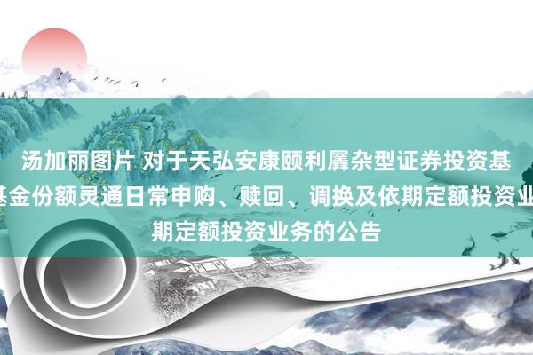 汤加丽图片 对于天弘安康颐利羼杂型证券投资基金之F类基金份额灵通日常申购、赎回、调换及依期定额投资业务的公告