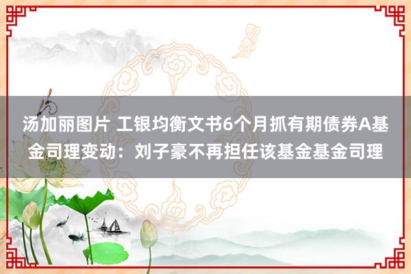 汤加丽图片 工银均衡文书6个月抓有期债券A基金司理变动：刘子豪不再担任该基金基金司理