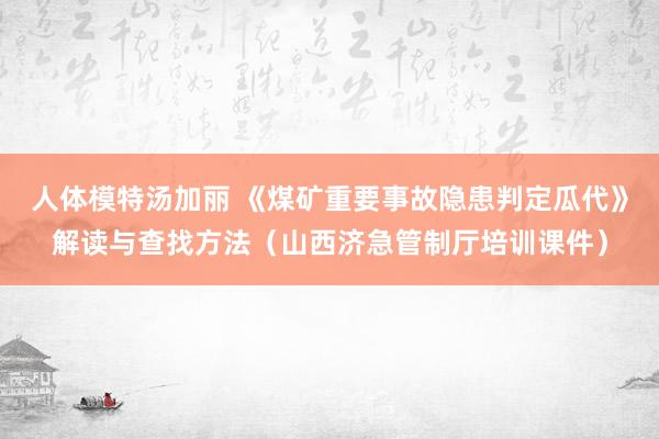 人体模特汤加丽 《煤矿重要事故隐患判定瓜代》解读与查找方法（山西济急管制厅培训课件）