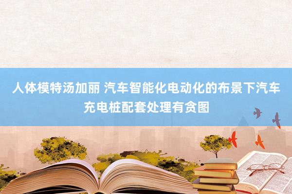 人体模特汤加丽 汽车智能化电动化的布景下汽车充电桩配套处理有贪图