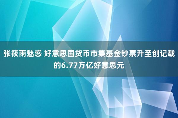 张筱雨魅惑 好意思国货币市集基金钞票升至创记载的6.77万亿好意思元