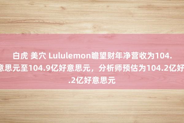 白虎 美穴 Lululemon瞻望财年净营收为104.5亿好意思元至104.9亿好意思元，分析师预估为104.2亿好意思元