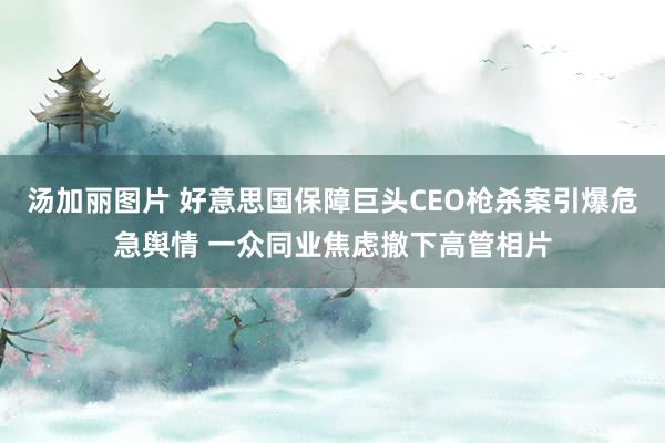 汤加丽图片 好意思国保障巨头CEO枪杀案引爆危急舆情 一众同业焦虑撤下高管相片