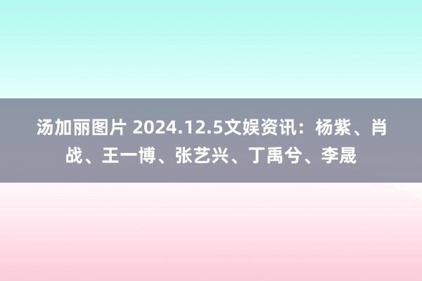 汤加丽图片 2024.12.5文娱资讯：杨紫、肖战、王一博、张艺兴、丁禹兮、李晟