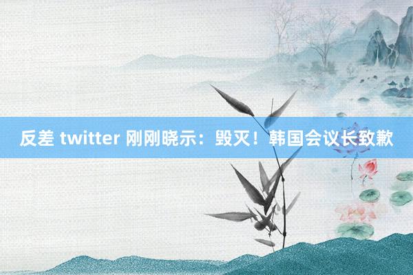 反差 twitter 刚刚晓示：毁灭！韩国会议长致歉