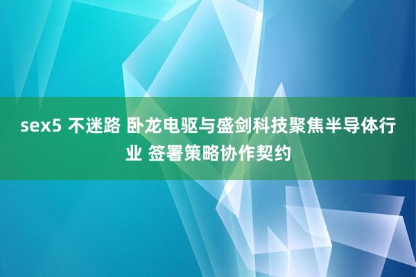 sex5 不迷路 卧龙电驱与盛剑科技聚焦半导体行业 签署策略协作契约