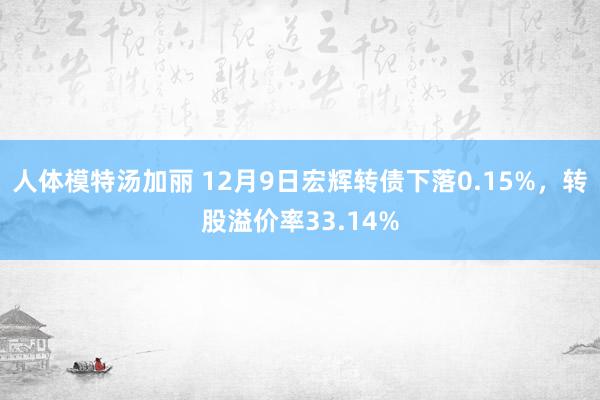 人体模特汤加丽 12月9日宏辉转债下落0.15%，转股溢价率33.14%