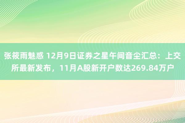 张筱雨魅惑 12月9日证券之星午间音尘汇总：上交所最新发布，11月A股新开户数达269.84万户