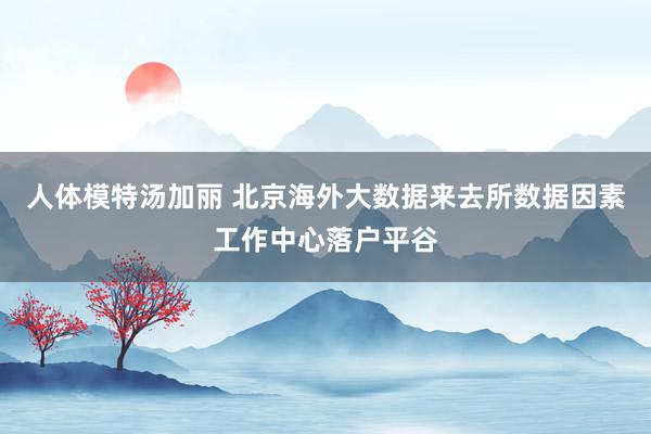 人体模特汤加丽 北京海外大数据来去所数据因素工作中心落户平谷