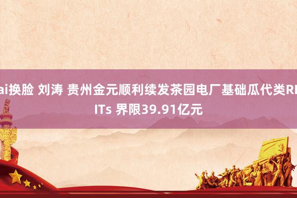 ai换脸 刘涛 贵州金元顺利续发茶园电厂基础瓜代类REITs 界限39.91亿元