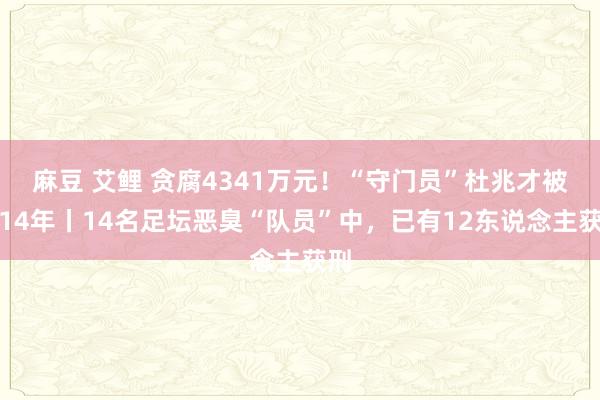 麻豆 艾鲤 贪腐4341万元！“守门员”杜兆才被判14年丨14名足坛恶臭“队员”中，已有12东说念主获刑