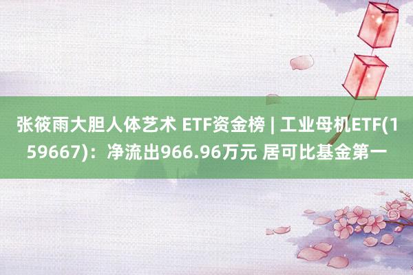 张筱雨大胆人体艺术 ETF资金榜 | 工业母机ETF(159667)：净流出966.96万元 居可比基金第一