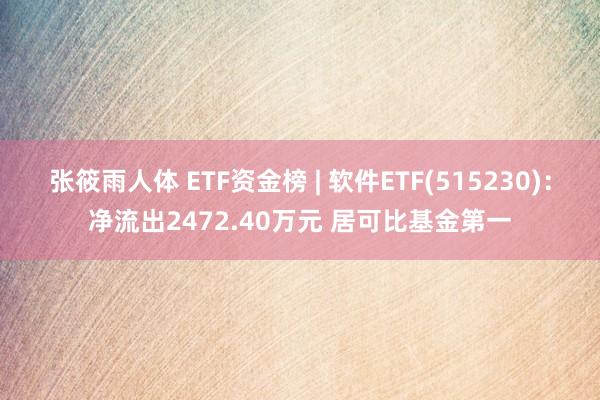 张筱雨人体 ETF资金榜 | 软件ETF(515230)：净流出2472.40万元 居可比基金第一