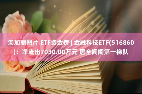 汤加丽图片 ETF资金榜 | 金融科技ETF(516860)：净流出7030.00万元 居全阛阓第一梯队