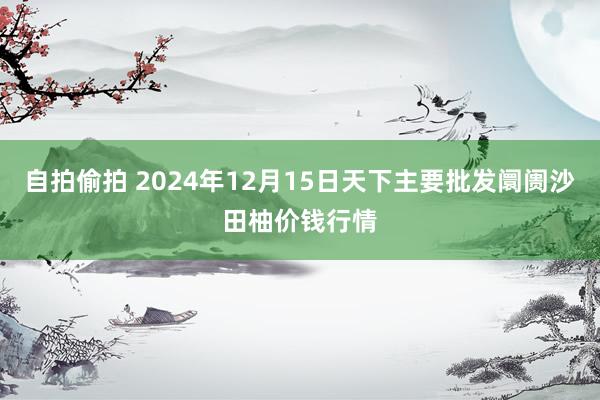 自拍偷拍 2024年12月15日天下主要批发阛阓沙田柚价钱行情