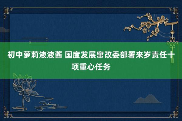 初中萝莉液液酱 国度发展窜改委部署来岁责任十项重心任务