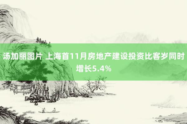 汤加丽图片 上海首11月房地产建设投资比客岁同时增长5.4%