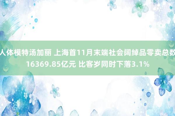 人体模特汤加丽 上海首11月末端社会阔绰品零卖总数16369.85亿元 比客岁同时下落3.1%