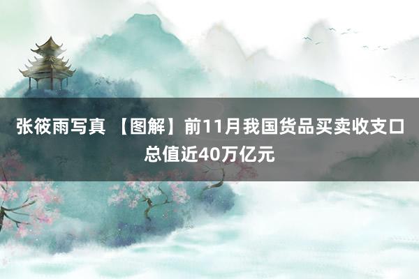 张筱雨写真 【图解】前11月我国货品买卖收支口总值近40万亿元