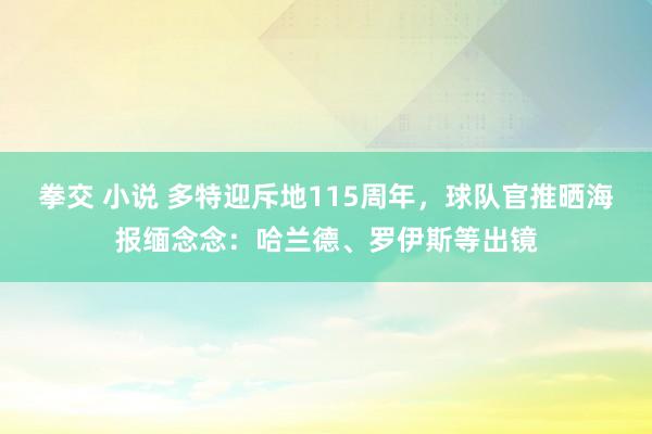 拳交 小说 多特迎斥地115周年，球队官推晒海报缅念念：哈兰德、罗伊斯等出镜