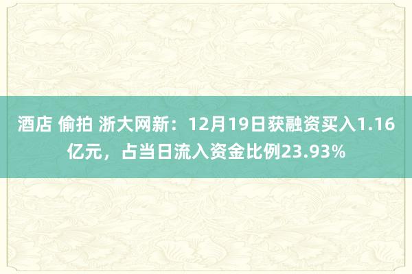 酒店 偷拍 浙大网新：12月19日获融资买入1.16亿元，占当日流入资金比例23.93%