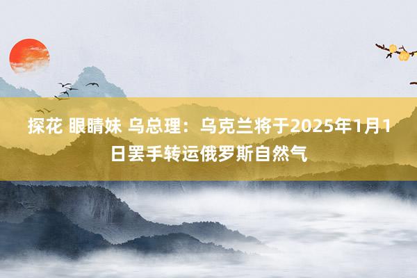 探花 眼睛妹 乌总理：乌克兰将于2025年1月1日罢手转运俄罗斯自然气