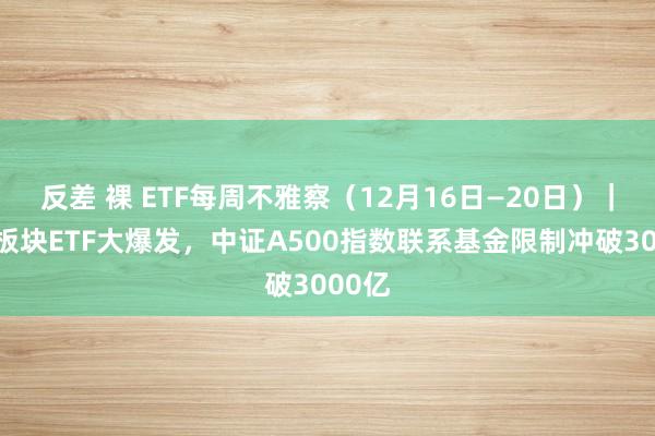 反差 裸 ETF每周不雅察（12月16日—20日）｜电子板块ETF大爆发，中证A500指数联系基金限制冲破3000亿