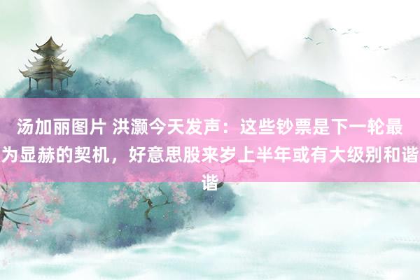 汤加丽图片 洪灏今天发声：这些钞票是下一轮最为显赫的契机，好意思股来岁上半年或有大级别和谐